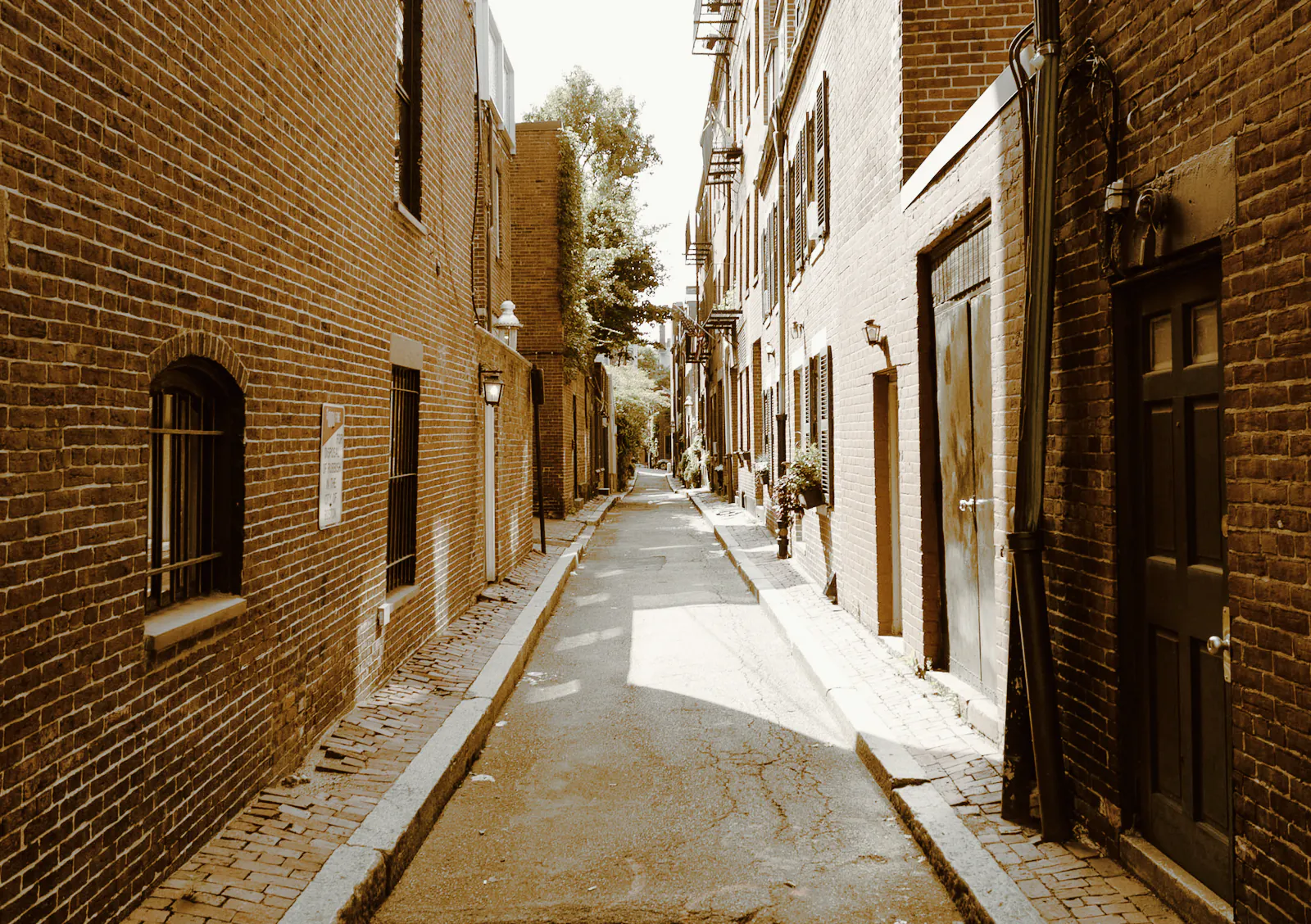 A quiet brick laneway with a patch of sun on the bitumen and a black door on the right